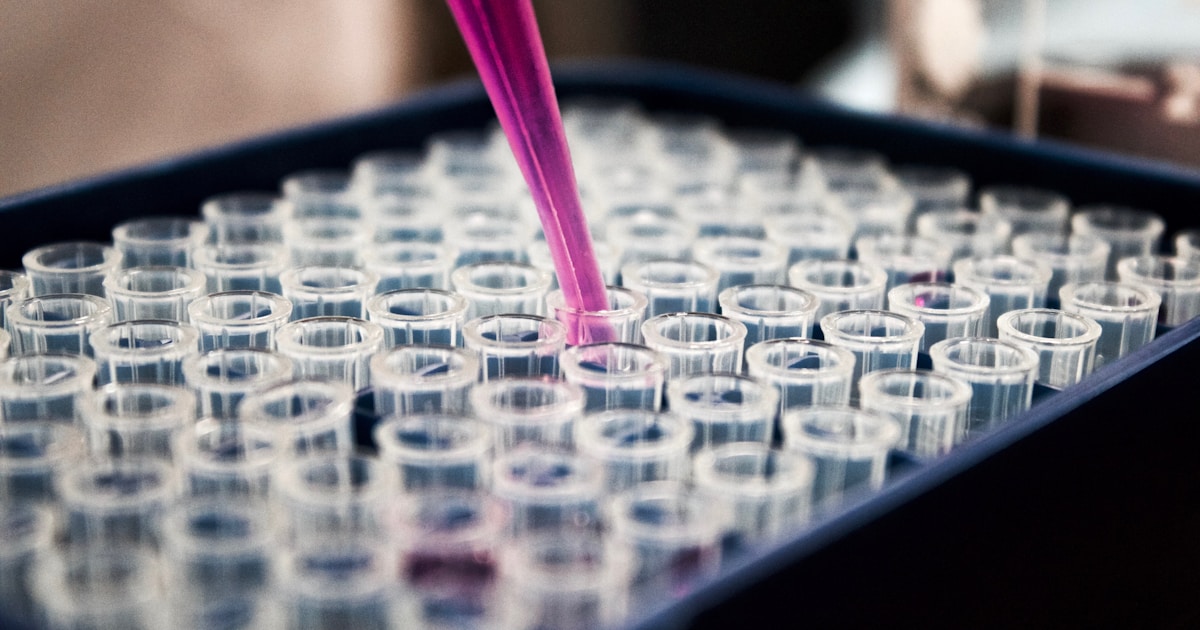 유전자 비만 치료제 대표이미지