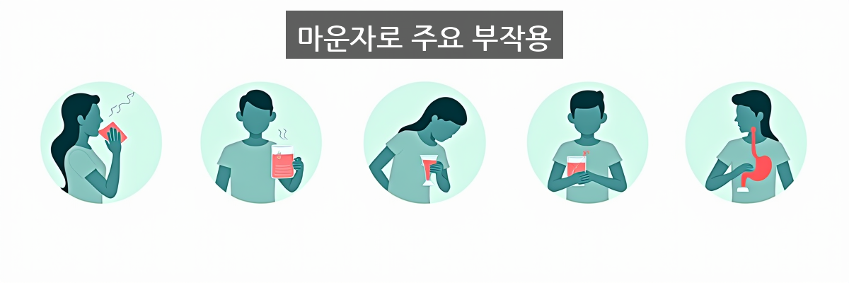 마운자로 주요 부작용 인포그래픽